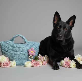 ZD Bucket Bag in Ice Blue