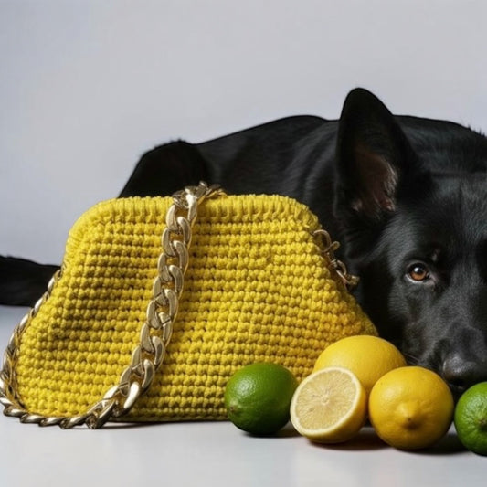 ZD Small Lume Cord Bag in Meyer Lemon-Three-Way Strap